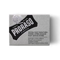 Proraso Alum Block aftershave 100gr - Rasori Razors